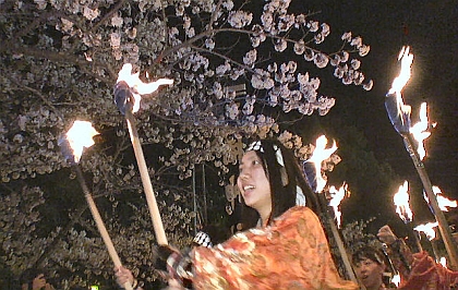 観桜火宴０３mm